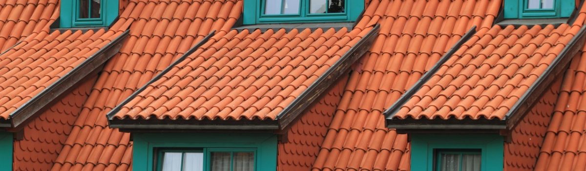 gutter cleaning